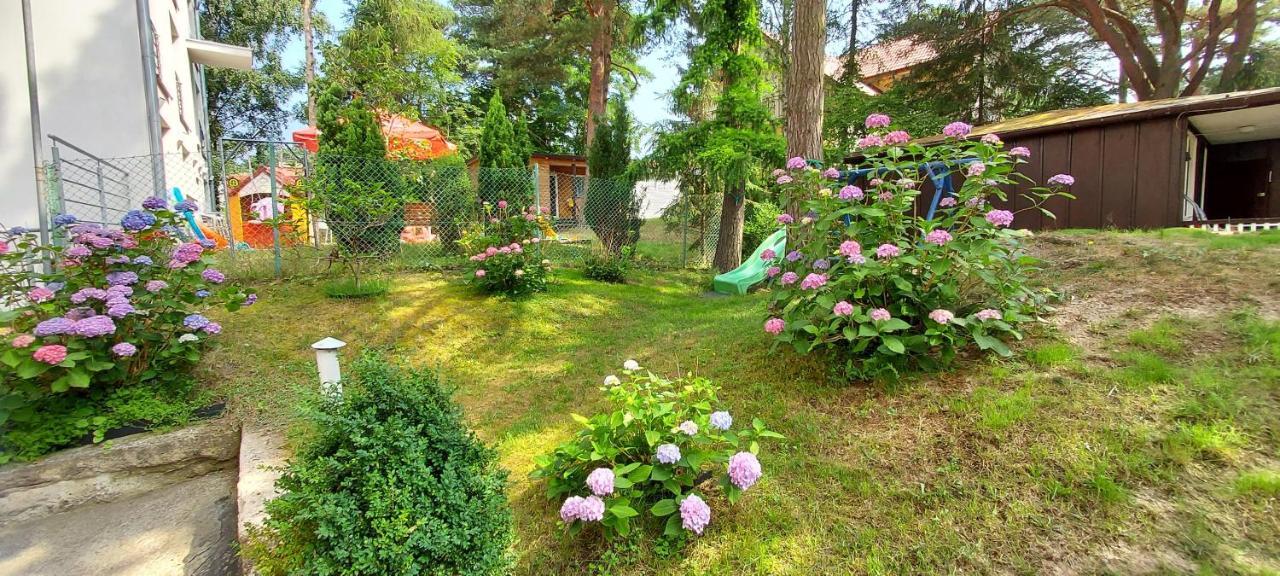 Villa Azalia Jastrzębia Góra Exteriör bild